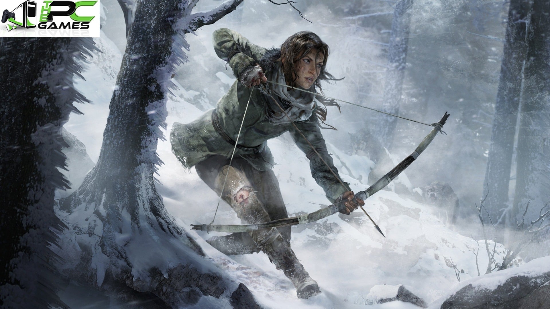 Rise of the Tomb Raider PC Game Free