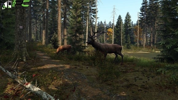 DayZ READNFO free download