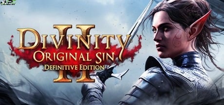 Divinity Original Sin 2 Definitive Edition Free Download