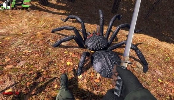 Forest spiders download