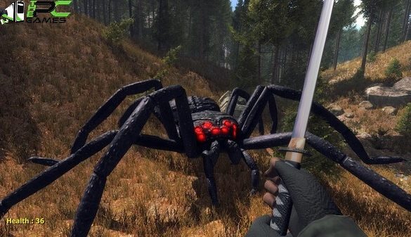 Forest spiders download